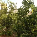 Panormos,nice With Garden View *