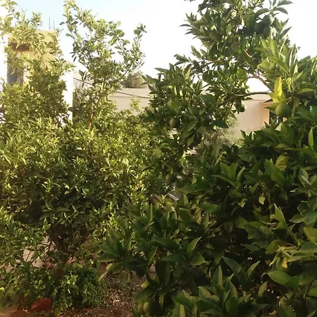 Panormos,nice With Garden View *
