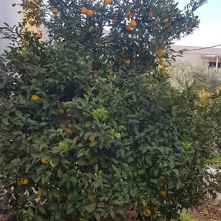 Panormos,Nice Studio With Garden View *