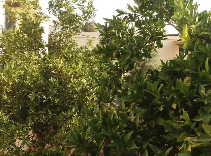 Panormos,Nice Studio With Garden View *